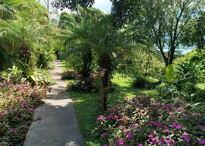 Chalet Arenal Nuevo Arenal