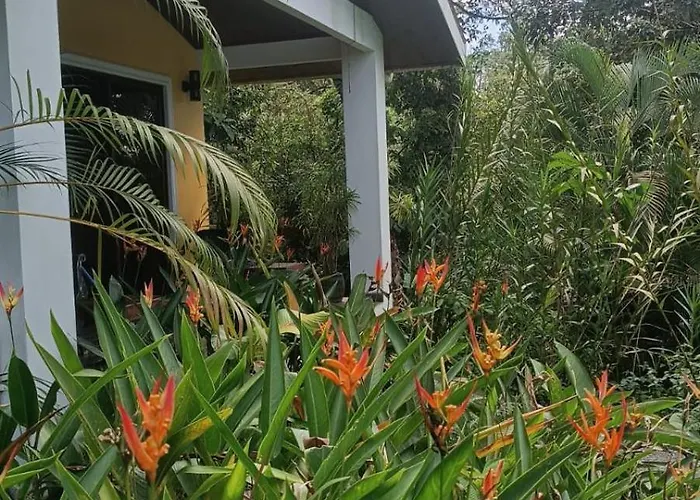 Arenal Chalet Nuevo Arenal